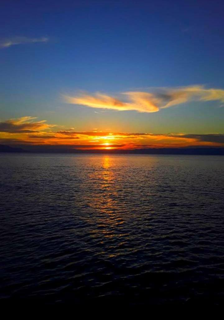 Chales Mata Atlantica De Ubatuba Dış mekan fotoğraf